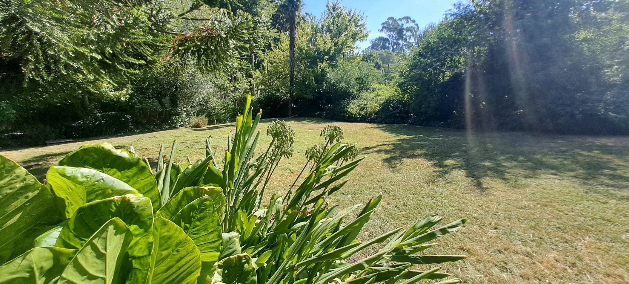 VENTA LOTE SIERRA DE LOS PADRES