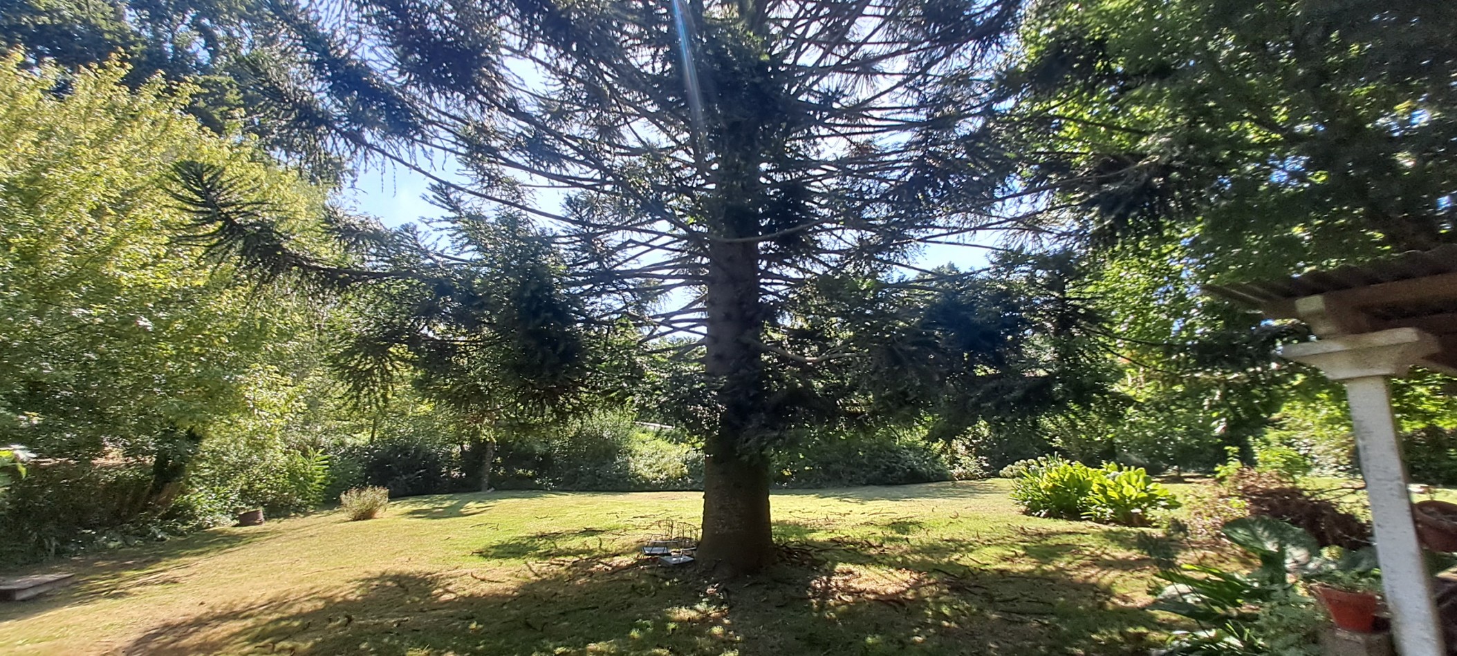 VENTA LOTE SIERRA DE LOS PADRES