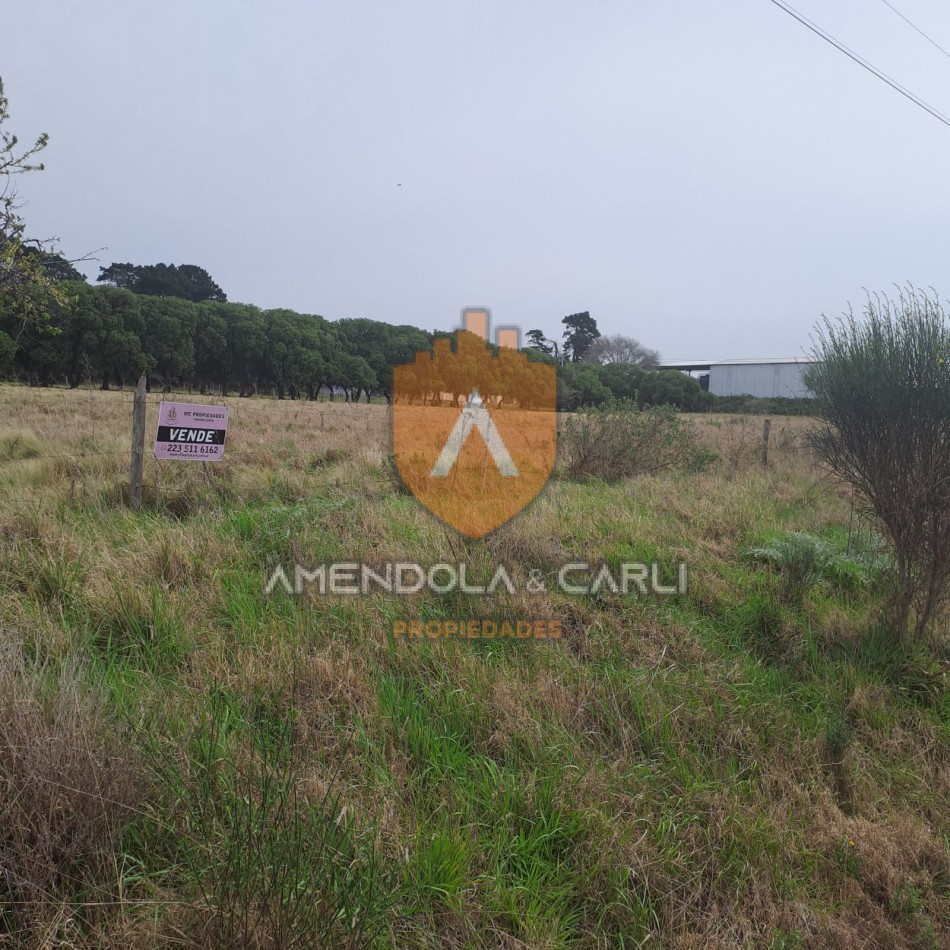 HECTAREAS SIERRA DE LOS PADRES