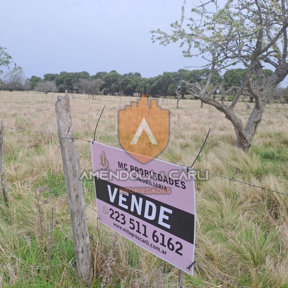 HECTAREAS SIERRA DE LOS PADRES